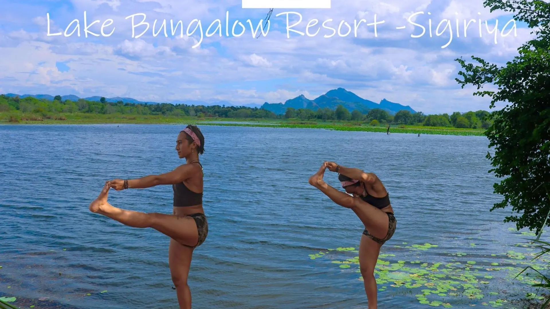Hotel Bungalow Resort - Sigiriya