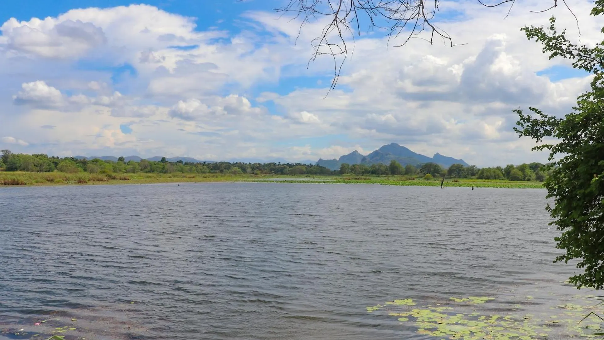 Bungalow Resort - Sigiriya Hotel